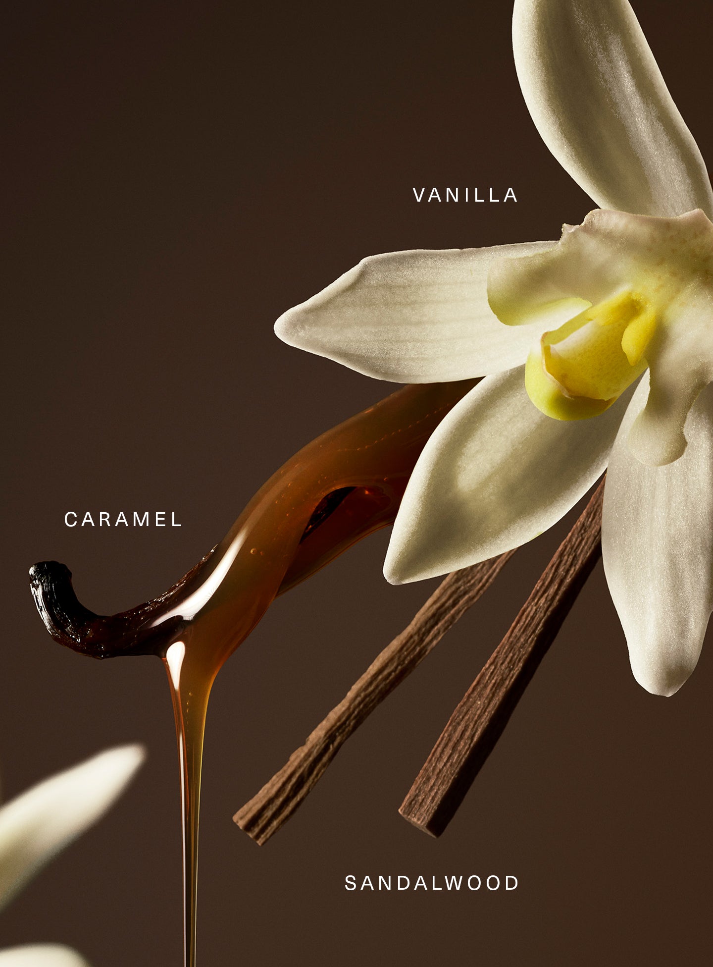 Mini Rare Eau de Parfum Set