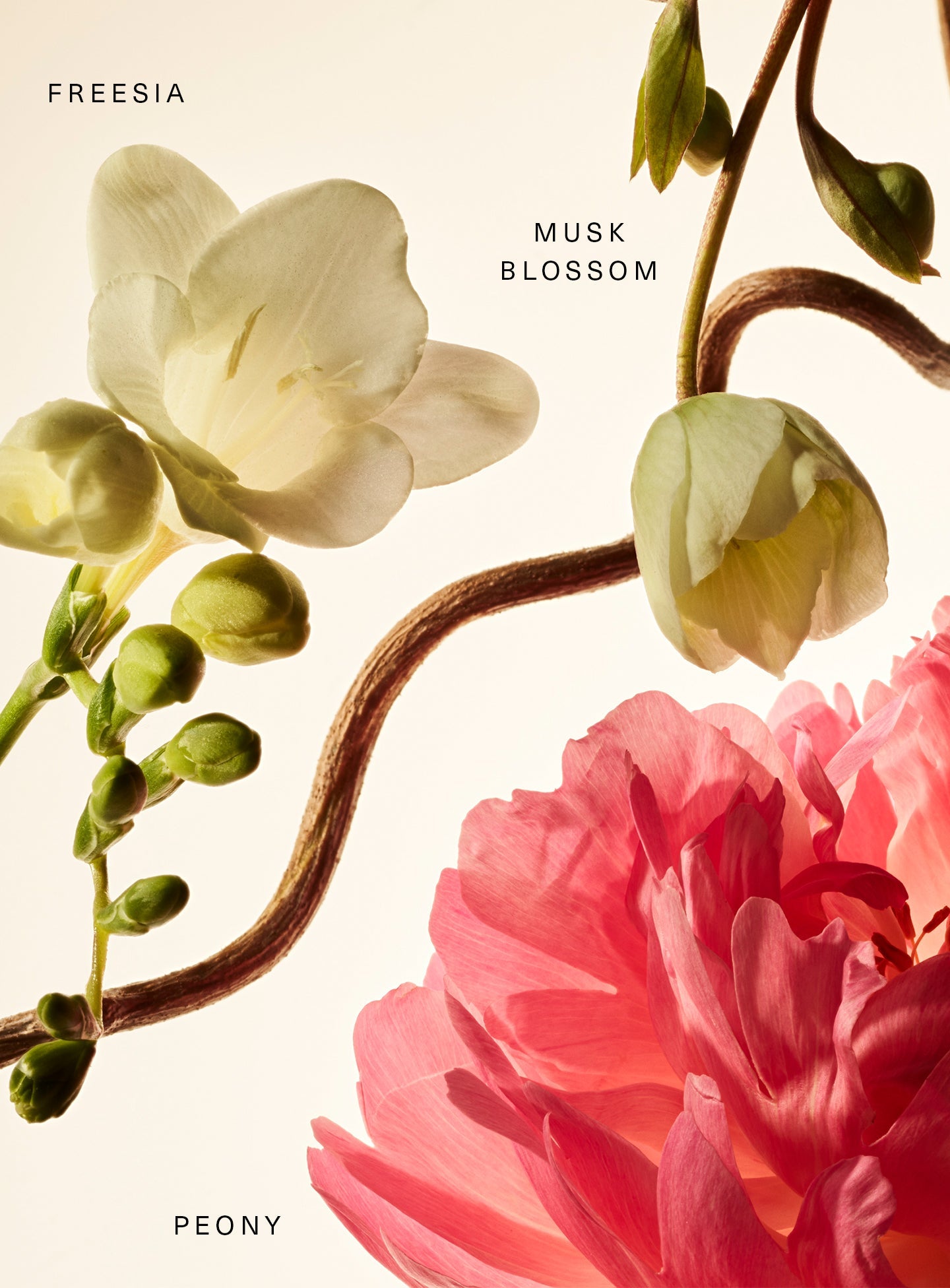 Fragrance Layering Balm - Floral Peony Blossom